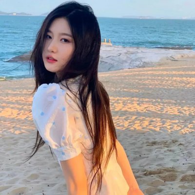 沙滩鼠